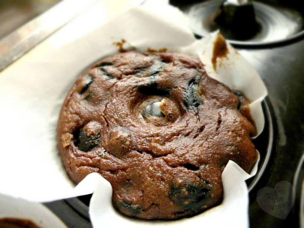 Coconut Flour Blueberry Bagels - Ditch the Wheat