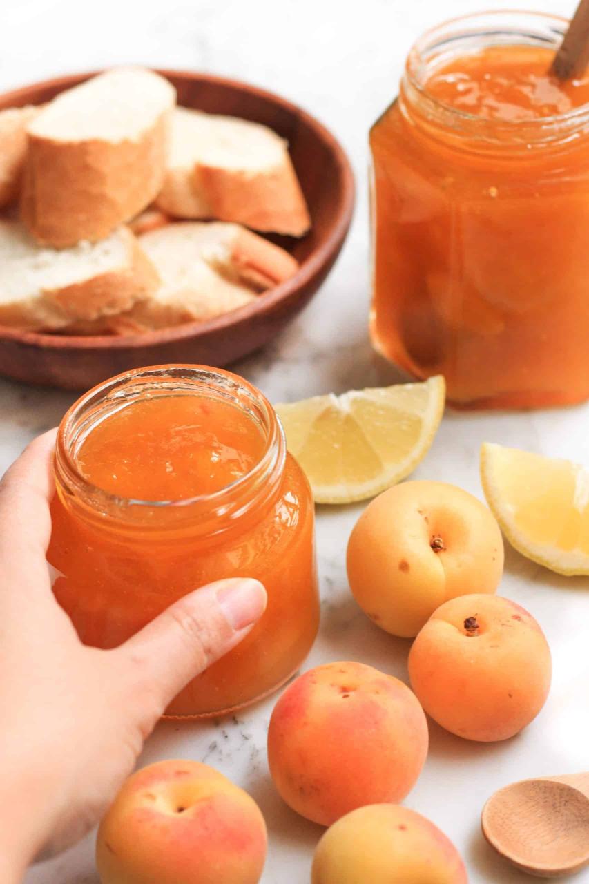 Easy Apricot Jam Recipe (Gluten-free, Vegan, Pectin-Free) - Dish by Dish