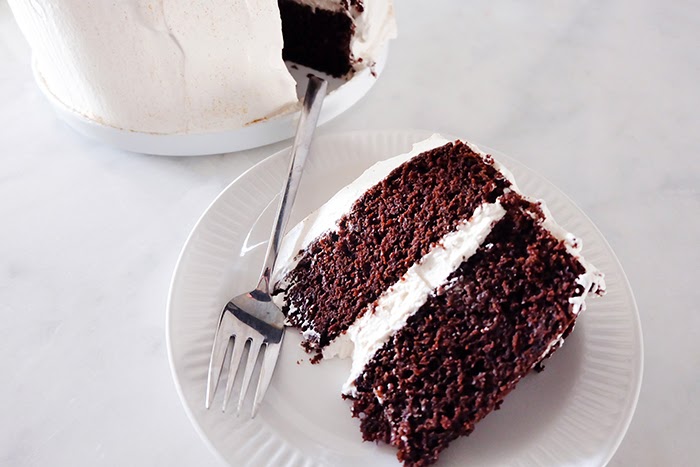 Mexican Chocolate Cake with Mascarpone Whipped Cream Frosting